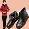 Winter Shoes Women Genuine Leather Waterproof Non-slip Snow Boots Women's Comfortable Thick Plush Warm Ankle Boots Ladies Boots