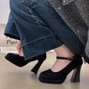 French Xiaoxiangfeng Temperament High Heels Women's 2025 Spring New Heel Breathable Thick Heel Mary Jane Suede Sheet