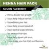 The Forest Herbs Natural Care From Nature 100% Organic Henna, Indigo, Amla Powder For Hair Black Combo Each 100Gms