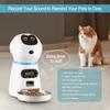 Automatic Pet Feeder With Voice Record LCD Screen Timer For Dog Food Bowl Cat Food Dispenser Smart Pet Supplies