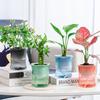 Transparent Vase Bamboo Planter Pots Room Decor Soil Cultivation Small Pot Flower Pot Desktop