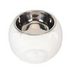 Cat Food Bowl Food Grade 304 Stainless Steel 200ml Capacity Elevated Tilt Pet Bowl for Cats Dogs