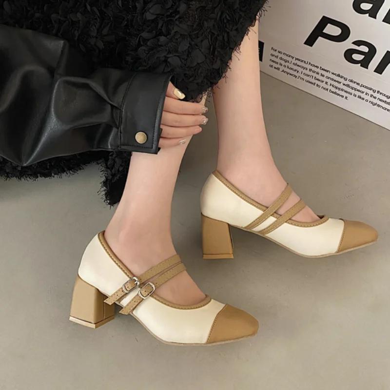 Women's Shoes 2024 Hot Sale Mary Janes Buckle Strap Women's High Heels Elegant Pointed Toe Color Matching Shoes Women Zapatos