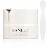 Kanebo Night Lipid Wear Cream 40ml