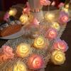 520 Valentine's Day Rose String Lights for Indoor & Girl's Room Decoration Atmosphere