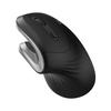 Souris Ergonomique Verticale Sans Fil Ewent EW3154 3200 DPI Noir