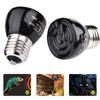 E27 20-100W Infrared Emitter Brooder Light Heating Lamp AC110V 220V Reptile Bulb