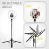 8" Selfie Ring Light with 66" Extendable Tripod Stand & Phone Holder, Portable Unplugged Dimmable LED Ringlight