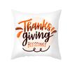 Autumn Harvest Thanksgiving Cushion Cover New Arrival Turkey Pumpkin Peach Skin Printed Cushion