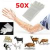 50Pcs Disposable Disposable Vet Glove Plastic Farm Glove Sturdy Long Arm Glove Midwifery