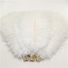 5pcs/lot 10-12 Inches/25-30CM Ostrich Feathers White Feather Wedding Party DIY
