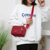 New Fashion Embroidery Women Nylon Square Handbags Lady's Shoulder Cross Body Female Casual Women's Zipper Handbag