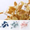 Prop Leaves With Fruits Bridal Bouquet Simulation Plants Branches Artificial Eucalyptus Stems