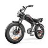EMOKO C93 Double-drive Adult Mountain Electic Bicycle 1000*2 Motor Motor 48V23AH Battery Electic Bicycle All-Terrain EBike
