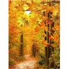 5D Алмазная картина Дерево Осенний лес Пейзаж Вышивка крестом