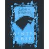 Game of Thrones Mens Winter Is Here T-Shirt