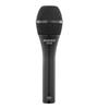AUDIX VX10 Vocal Live Singing Recording Studio Recording Handheld Condenser Microphone Unidirectional Black
