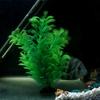 Beautiful Simulation for Aquarium Decor Water Weeds Landscaping Plants Water Grass Aquatic Plants