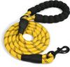 Reflective Dog Leash for Small To Medium Breeds: Bichon, Pomeranian, Golden Retriever, Border Collie