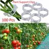 10/20/30/40/50/100Pcs Plastic Garden Plants Flowers Tied Bundle Branch Clip Clamping Tools Rattan Vines And Vegetables Fixing Unit