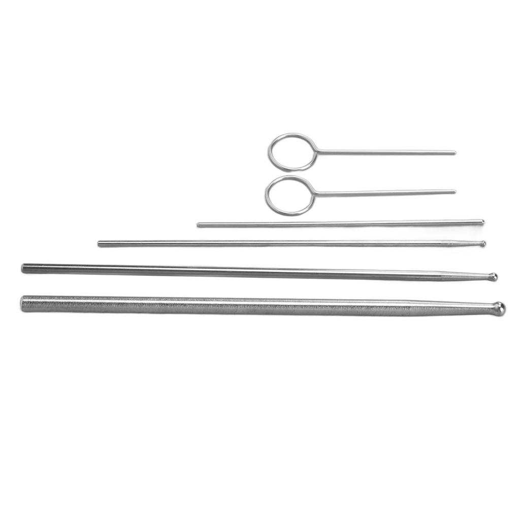 6PCS Snake Probe Kit Stainless Steel Round Head Anti Allergy Reptiles Snake Sexing Probe