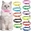 Pet Patch Colorful Collar Puppy and Cat Collar Cat Collar with Paw Print and Bell Cat Buckle Collar