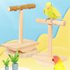 Wooden Bird Perch Stand Parrot Swing Toy with Non Slip Rubber Stickers for Budgies and Cockatiels