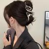 2024 Women's Cold Style Claw Hair Clip: Niche Design, Large Size Updo Accessory