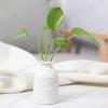 1PC Nordic Style Mini Modern Flower Vase Home Decoration Living Room Ceramic Home Decoration Floreros Vintage Flower Pot Vases