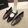 Fashion Pointy Mary Jane Shoes for Women 2024 Summer Model with Skirt Small Leather Shoes Retro Chunky Single Shoes for Women