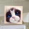 Photo Frame Ornaments with Shaping Base Wool Felt Interactive Lovely Cat Head Doll Knitting Kit Household Supplies