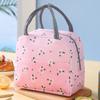 Cartoon Insulation Bags Large Capacity Cooler Lunch Bag Thickened Lunch Bag