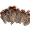 80 Natural Pheasant Feather Decorative Diy Jewelry Hair Accessories Material Cat Stick Toy Accessories