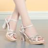 Fashion Open Toe Thick High Heels Ladies Summer Shoes For Dress Women High Heel Sandals 2024 New Female Platform Sandals