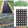 Perforated-Film Mulch Film Gardening Flower Vegetable Seedling Plant Replace