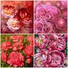 50X50CM 5D Full Drill Diamond Painting Flowers Peony Embroidery Cross Stitch Rhinestones Picture Bedroom Decoration