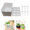 Hydroponic Cultivation System, Device, Wear-resistant Planting Container