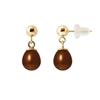 Earrings - - Comet - Freshwater Cultured Pearls 6-7 Mm - Yellow Gold - Chocolate