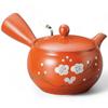 Commercial Poipoi Mesh Teapot with Tea Made In Japan J-kitchens Tokoname-yaki Strainer, 350cc,