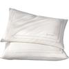 Mercury Home Textiles Class A Antibacterial Silk Pillow (Pair)
