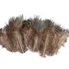 80 Natural Pheasant Feather Decorative Diy Jewelry Hair Accessories Material Cat Stick Toy Accessories