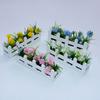 1:12 Scale Miniature Potted Plants Lifelike Artificial Doll Plants Fake Daisy  Children