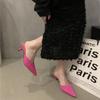 French Bag Head Half Slippers Women's Outer Wear Thin Heel Temperament Women's Shoes Pointed Head Half Drag with Skirt Name Trend High Heel Slippers