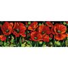Antique Canvas Poppies 25x60cm