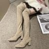 Fashion Women's Fashion Chunky Single Boots Winter New Pointed Suede Sleeve Over The Knee Comfortable High Boots