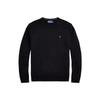 Polo Crew Neck Long Sleeve Logo Sweater Men Sweater 710974148-003