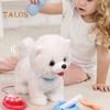 1 Set Kids Electronic Plush Dog Toy with Pet Care Accessories Walking Interactive Puppy Rabbit Cat Plushie Toy Toddlers Boys Girls Educational Animal