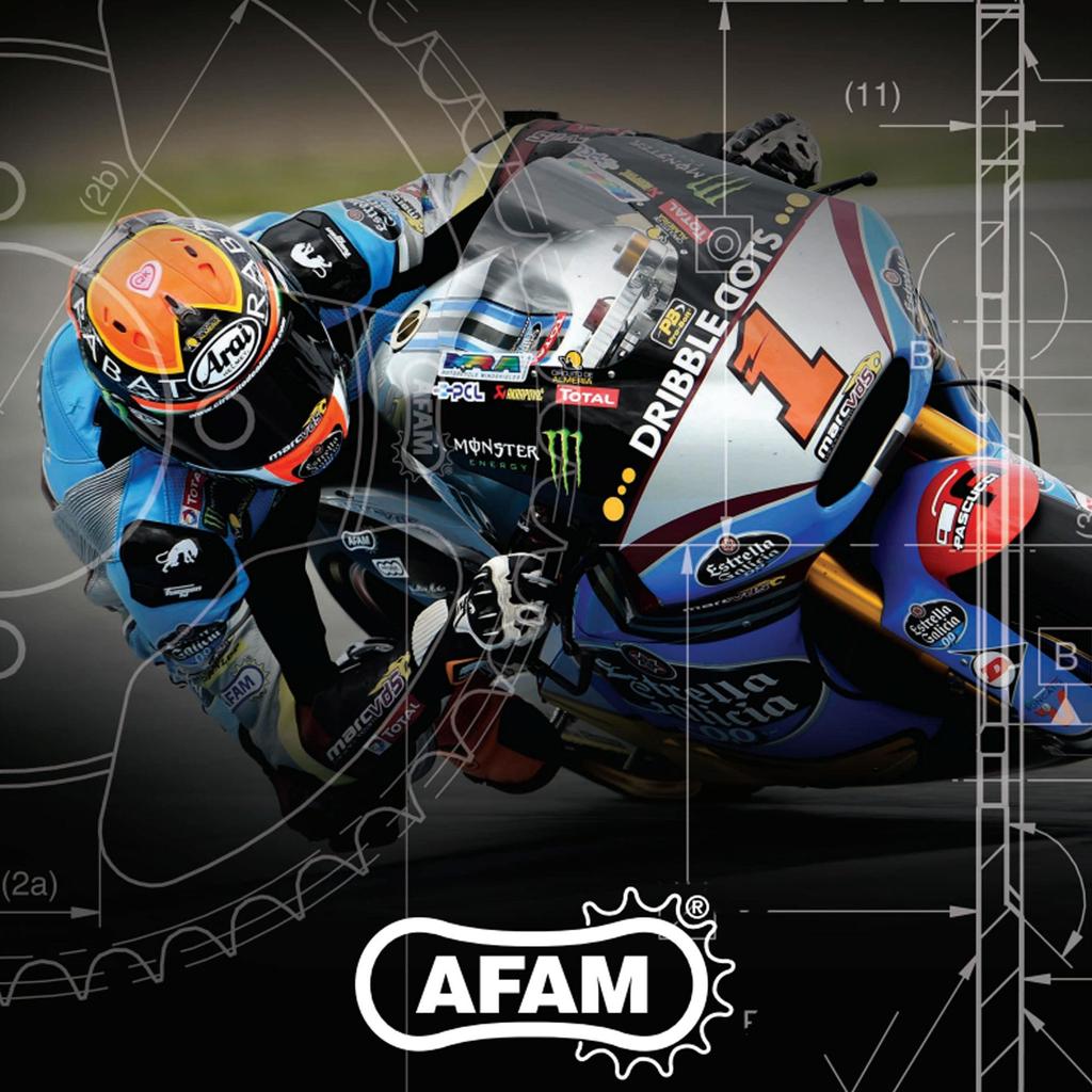 AFAM A520-104XMR3 2014-2018 Kawasaki Z 250SL Compatible Chain XMR3 Xring Steel Color