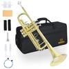 BQKOZFIN Trumpet Wind Instrument Wind Instrument Beginner Set Brass Plated B
