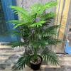 Tropical Plants Artificial Palm Tree Green Fake Palm Leaves Wedding